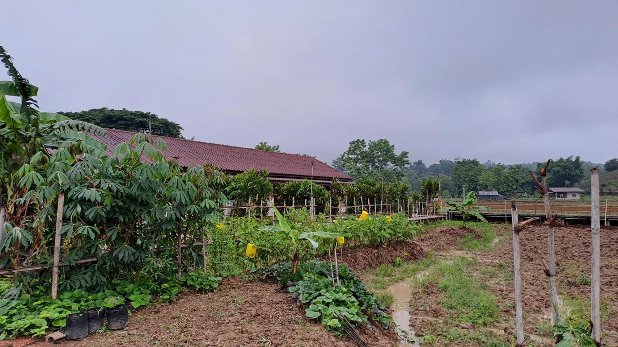 Ban Lom Jen Homestay Chiang Rai Exterior photo